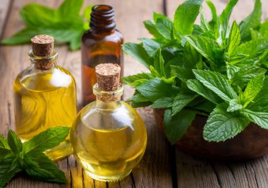 Taze nane ve nane yağı.