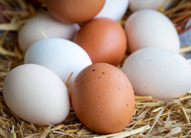 Yumurta, Saman Üstünde Tavuk Yumurtası