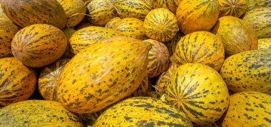 Organik meyvelerle dolu bir tarım çiftliği. Sağlıklı beslenme. İzmir / Türkiye