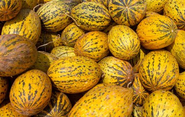 Organik meyvelerle dolu bir tarım çiftliği. Sağlıklı beslenme. İzmir / Türkiye