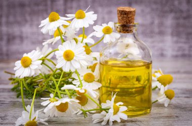 Cam şişedeki temel yağ taze papatya çiçekleri, güzellik tedavisi..