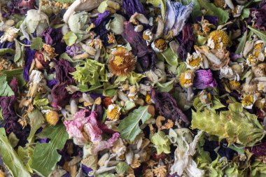 Kuru bitki çayı konsepti. Şifalı bitkiler şifalı bitkiler ve alternatif tıp.