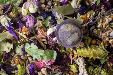 Kuru bitki çayı konsepti. Şifalı bitkiler şifalı bitkiler ve alternatif tıp.