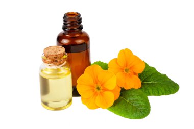 Organik kozmetik ürünleri, Primula doğal yağı, el yapımı bitkisel ve çiçekli cam şişeler.