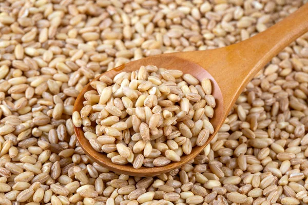 Kurutulmuş buğday tanelerine yakın çekim.