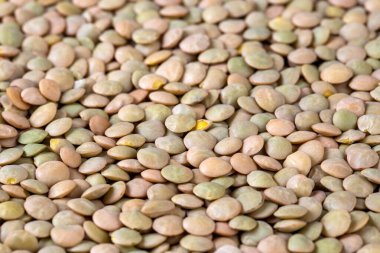 Kurumuş baklagillerin türleri arasında; yeşil mercimek