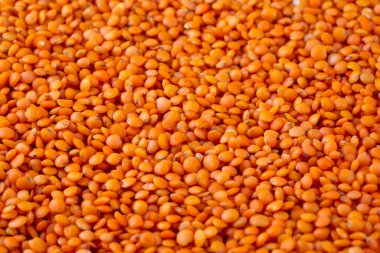 Kurutulmuş baklagil yemeği; kırmızı mercimek.