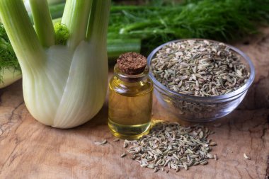 Rezene önemli petrol taze yeşil rezene twigs ve rezene tohum içinde belgili tanımlık geçmiş ile bir şişe