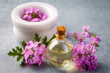 Pelargonium çiçekleri ve temel pelargonyum yağını mezarlığa yerleştirir