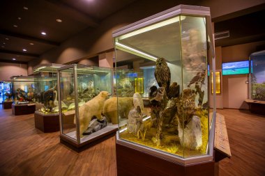 Kalambaka, Meteora, Yunanistan, 16 Şubat 2025, Meteora ve Mantar Müzesi Doğal Tarih Müzesi