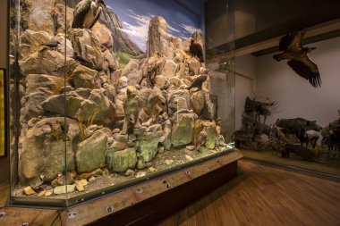 Kalambaka, Meteora, Yunanistan, 16 Şubat 2025, Meteora ve Mantar Müzesi Doğal Tarih Müzesi