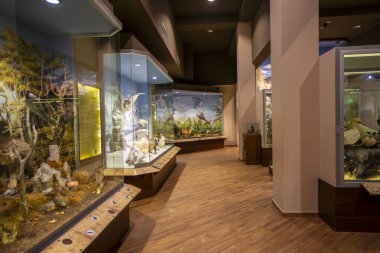 Kalambaka, Meteora, Yunanistan, 16 Şubat 2025, Meteora ve Mantar Müzesi Doğal Tarih Müzesi