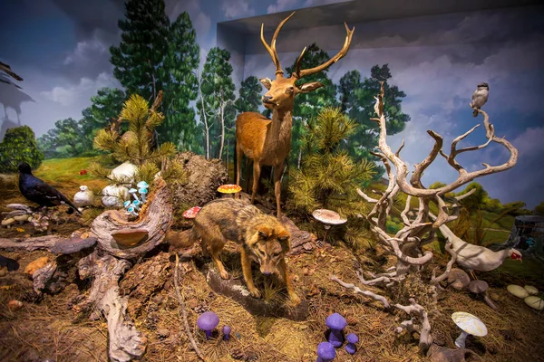 Kalambaka, Meteora, Yunanistan, 16 Şubat 2025, Meteora ve Mantar Müzesi Doğal Tarih Müzesi