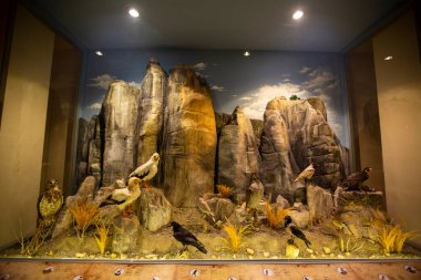 Kalambaka, Meteora, Yunanistan, 16 Şubat 2025, Meteora ve Mantar Müzesi Doğal Tarih Müzesi