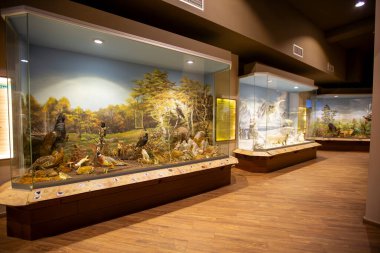 Kalambaka, Meteora, Yunanistan, 16 Şubat 2025, Meteora ve Mantar Müzesi Doğal Tarih Müzesi