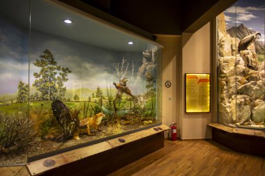 Kalambaka, Meteora, Yunanistan, 16 Şubat 2025, Meteora ve Mantar Müzesi Doğal Tarih Müzesi