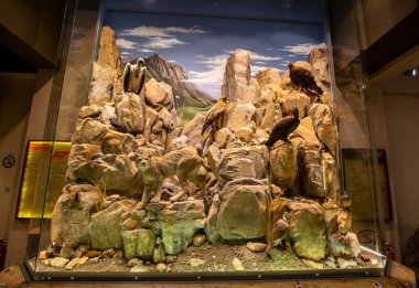 Kalambaka, Meteora, Yunanistan, 16 Şubat 2025, Meteora ve Mantar Müzesi Doğal Tarih Müzesi