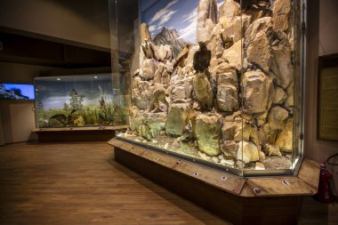 Kalambaka, Meteora, Yunanistan, 16 Şubat 2025, Meteora ve Mantar Müzesi Doğal Tarih Müzesi