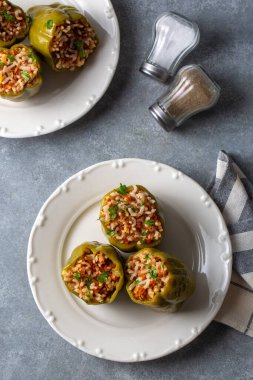 Geleneksel lezzetli Türk yemekleri; dolma dolma dolma dolma dolma biberli et (Türkçe adı; Etli biber dolmasi)