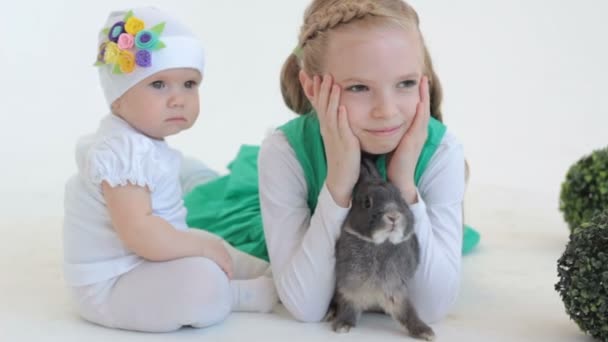 Barn som poserer med grå kanin i studio – stockvideo