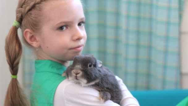 Girl with rabbit posing during photo session — Stock Video