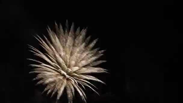 Fuochi d'artificio luminosi nel cielo notturno. Congratulazioni. . — Video Stock