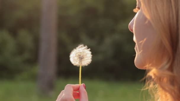 Chica soplando en diente de león en la luz del sol — Vídeos de Stock