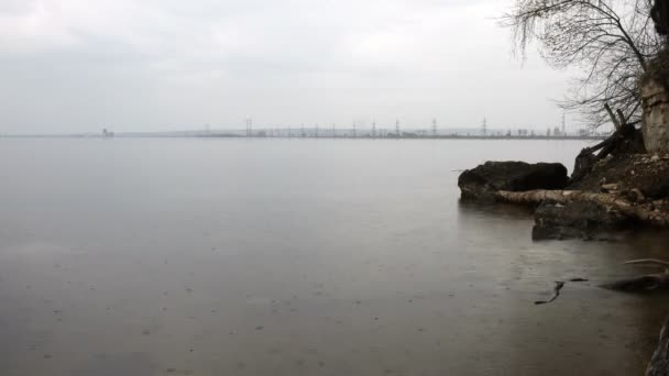 Lluvia en el río en el día de verano — Vídeo de stock