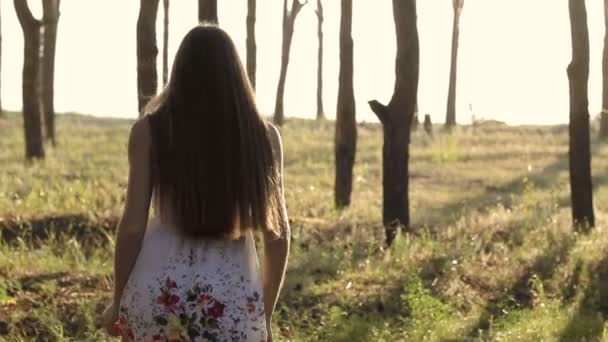 女孩在森林中去的太阳 — 图库视频影像