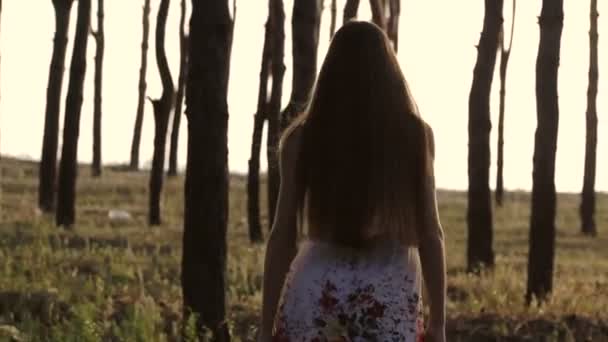 Ragazza va nella foresta sul sole — Video Stock