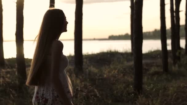 Fille va en forêt sur le soleil — Video