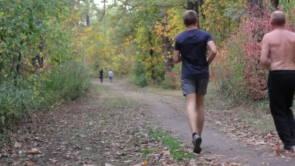 Two mens run in the park in autumn forest — Stock Video