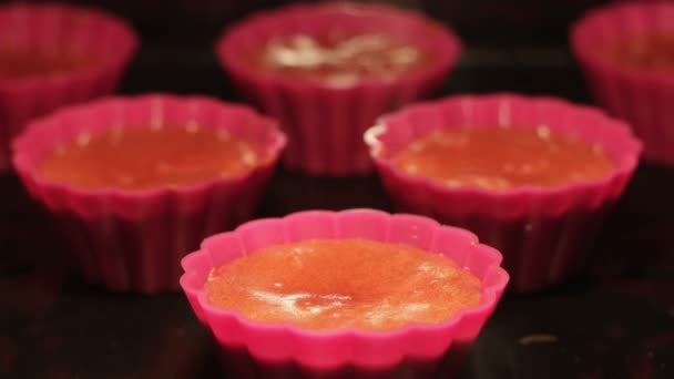 Cupcakes Baking in the Oven — Stock Video