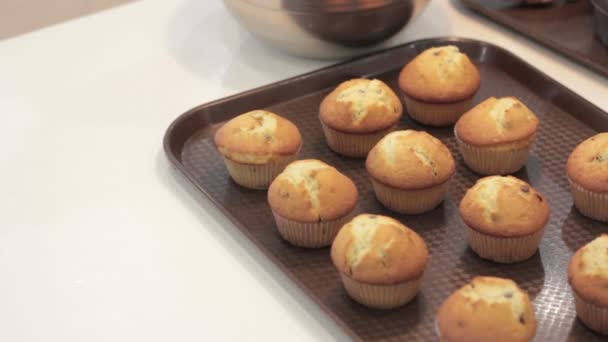 Magdalenas en una bandeja. Doce magdalenas en una bandeja de lata . — Vídeos de Stock