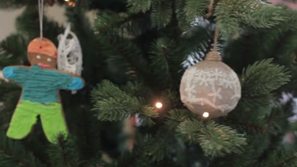 Lebkuchen hängen unter Tannenzweig — Stockvideo