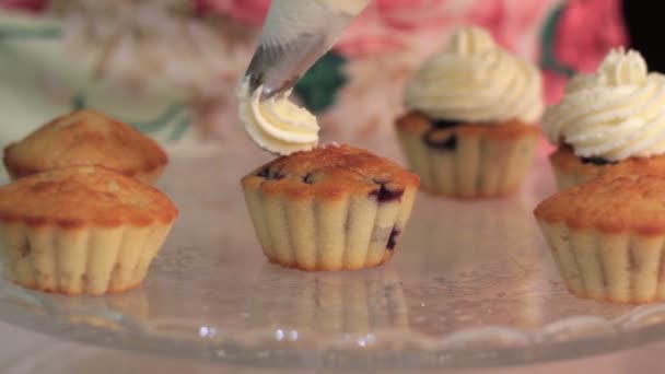 Chef está decorando cupcakes para una fiesta — Vídeos de Stock