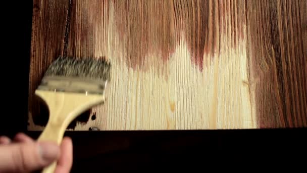 Pincel pintura mesa de madera con mancha de madera — Vídeo de stock