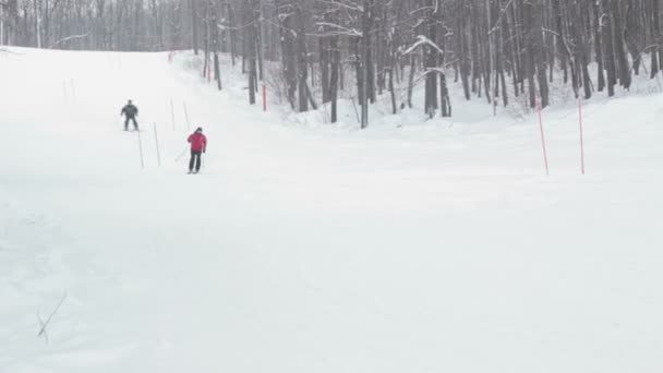 Närbild skidåkare skidåkning slalom i skogen — Stockvideo