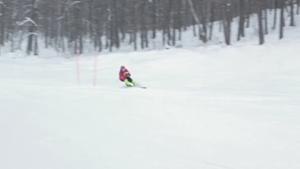 Yakın çekim kayakçı yokuş aşağı Kayak ormanda — Stok video