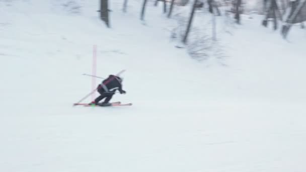 Skifahrer aus nächster Nähe beim Skifahren im Wald — Stockvideo