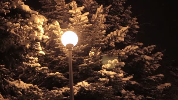 Зимний парк вечером, покрытый снегом с рядом ламп — стоковое видео