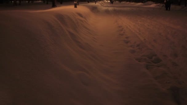 Parc d'hiver le soir couvert de neige avec une rangée de lampes — Video