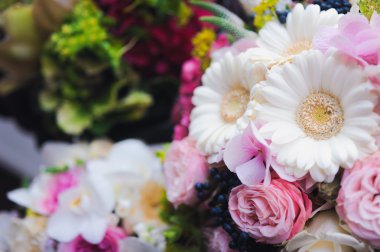 pembe, mor ve beyaz çiçekler