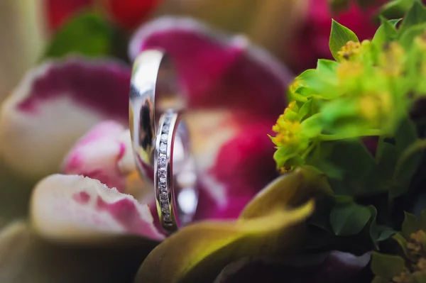 Um par de anéis de casamento em flor — Fotografia de Stock