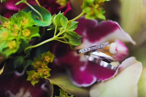 Um par de anéis de casamento em flor — Fotografia de Stock