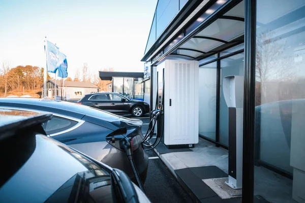 Tnsberg Norwegia Januari 2021 Pearl White All Electric Motor Car — Stok Foto