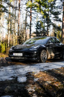 Tonsberg, Norveç - 18 Mart 2021: siyah Tesla modeli 3 Long Range çift motorlu arka planda İskandinav ormanı olan elektrikli bir otomobil..