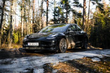 Tonsberg, Norveç - 18 Mart 2021: siyah Tesla modeli 3 Long Range çift motorlu arka planda İskandinav ormanı olan elektrikli bir otomobil..