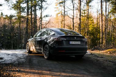 Tonsberg, Norveç - 18 Mart 2021: siyah Tesla modeli 3 Long Range çift motorlu arka planda İskandinav ormanı olan elektrikli bir otomobil..