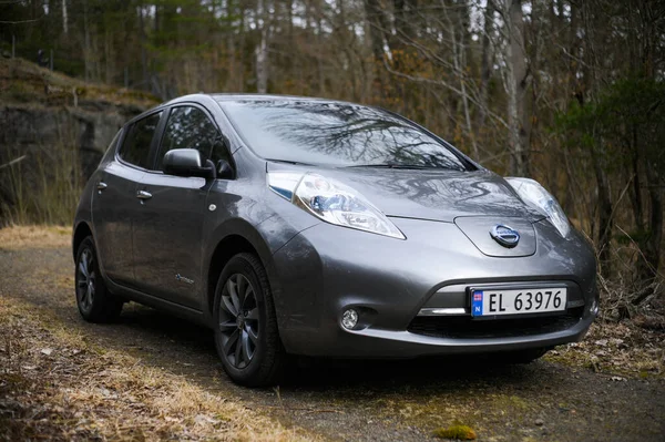 Tonsberg, Norveç - Nisan 06, 2021: Gri gri NISSAN LEAF, C segment elektrikli otomobil. Ormanda güneşli bir günde yeni bir araba.